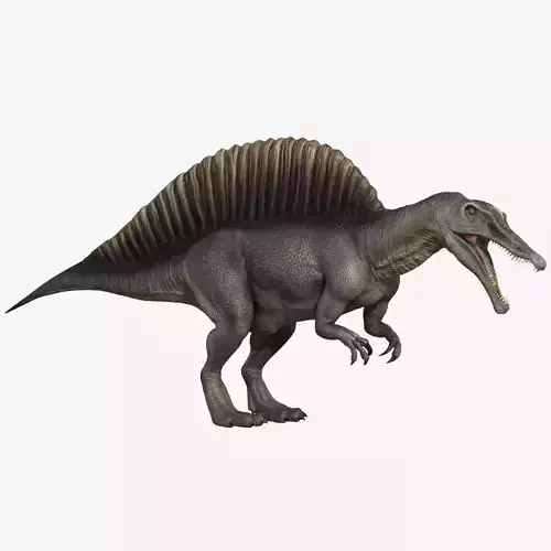 Spinosaurus dinosaur Low-poly 3D model