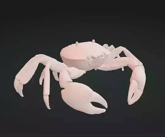 Crab 3D Model Realistic Decorative Creature