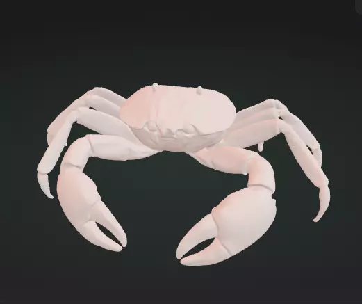 Crab 3D Model Realistic Decorative Creature Free 3D print model_1