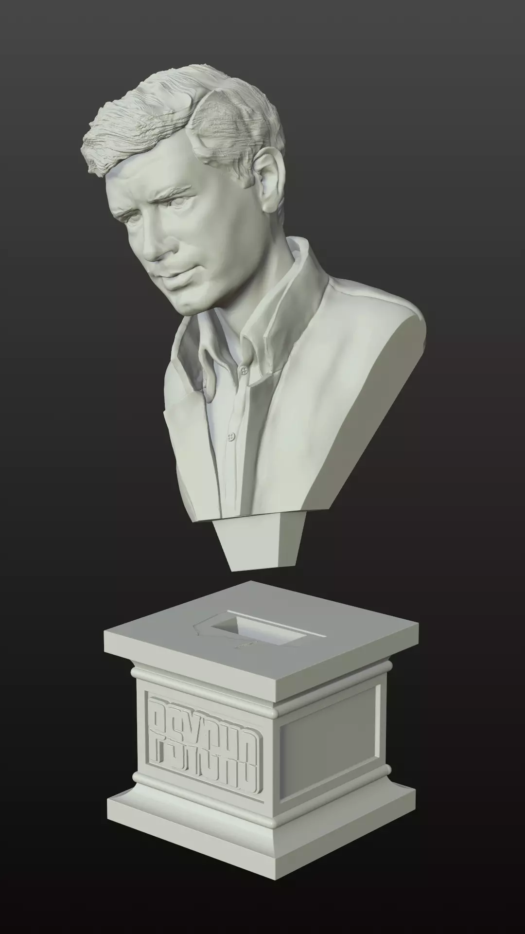 Norman Bates - Psycho bust 3D print model_4