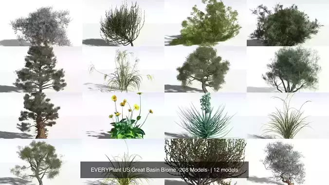 EVERYPlant US Great Basin Biome -208 Models- 3D Model Collection