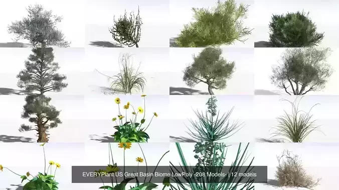 EVERYPlant US Great Basin Biome LowPoly -208 Models- 3D Model Collection