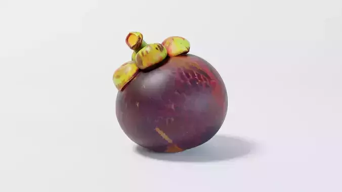 A Mangosteen 3D model
