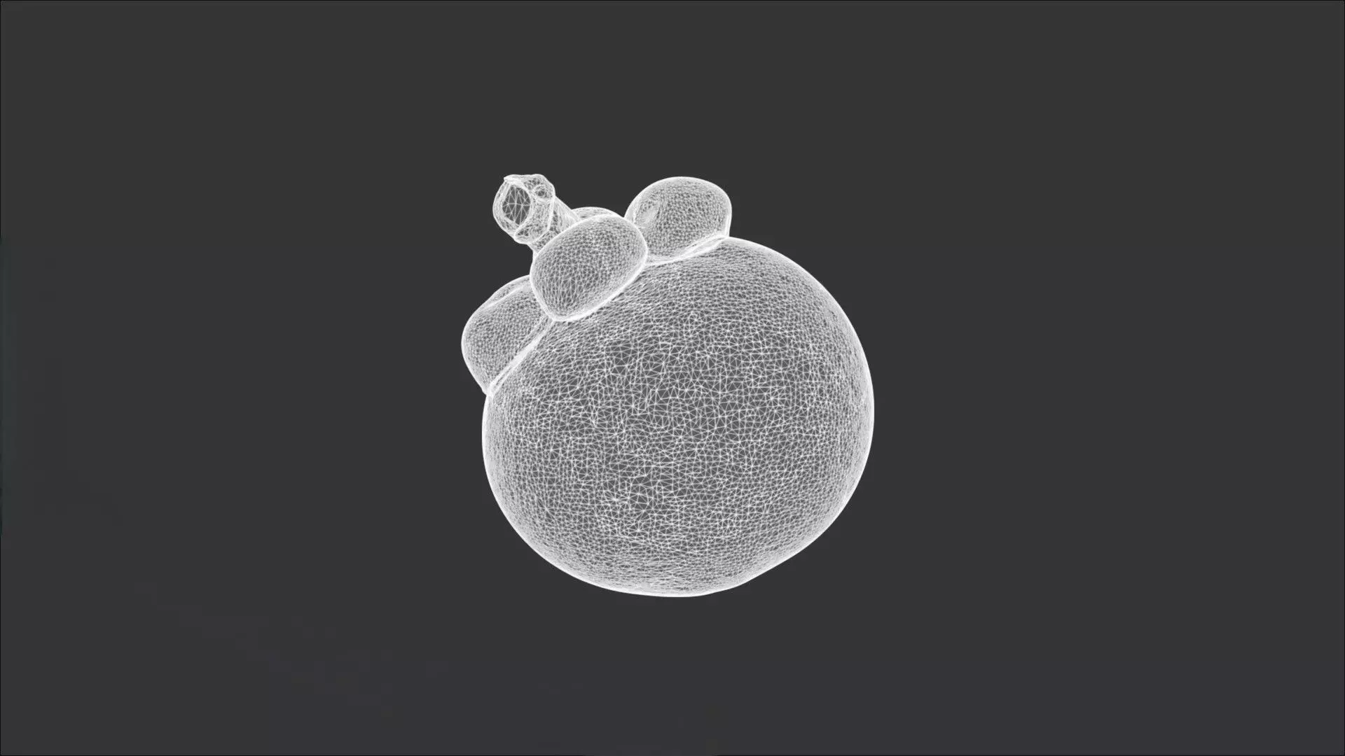 A Mangosteen 3D model_3