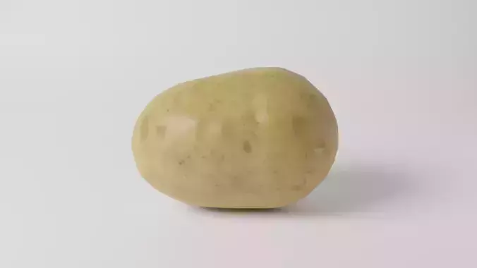 Potato Realistic  3D Model