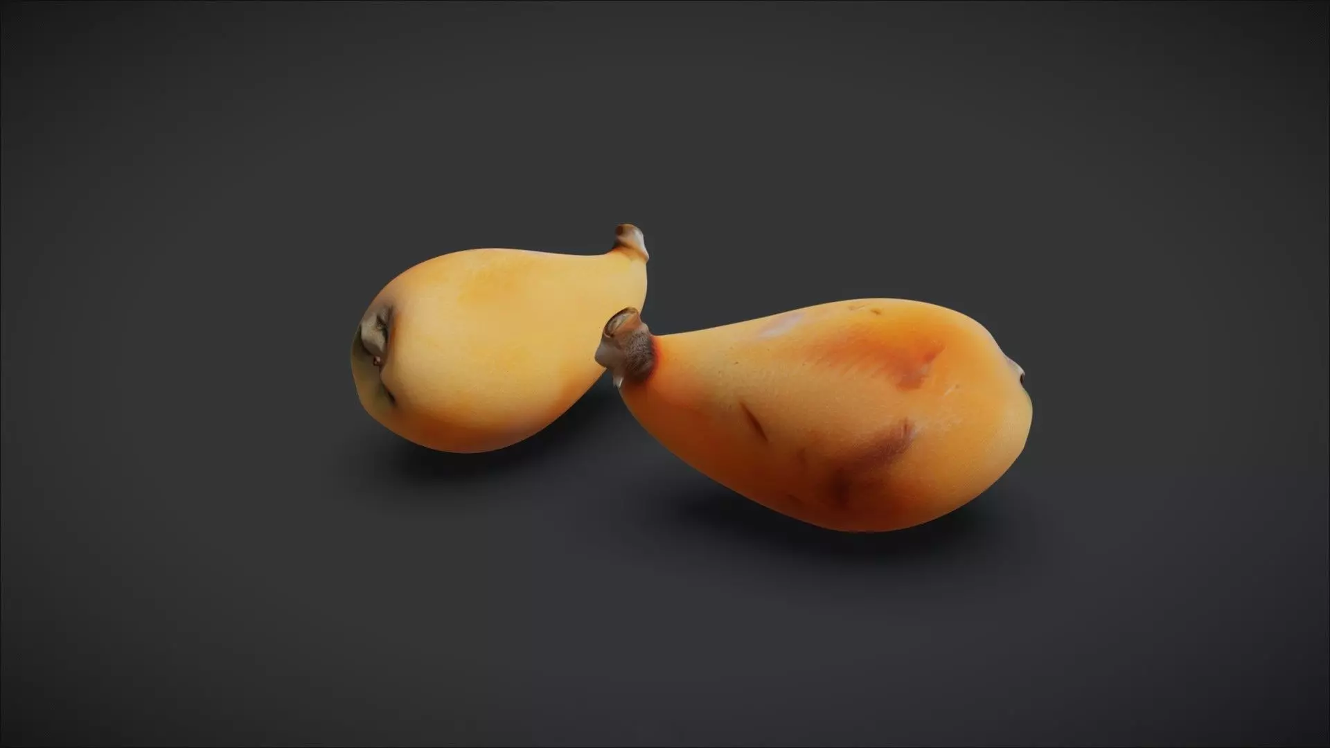 Loquat 3D model_1