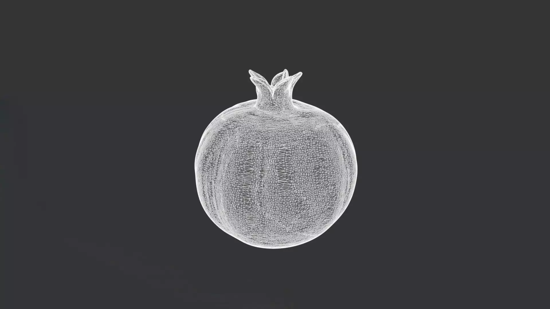 A Pomegranate 3D model_3