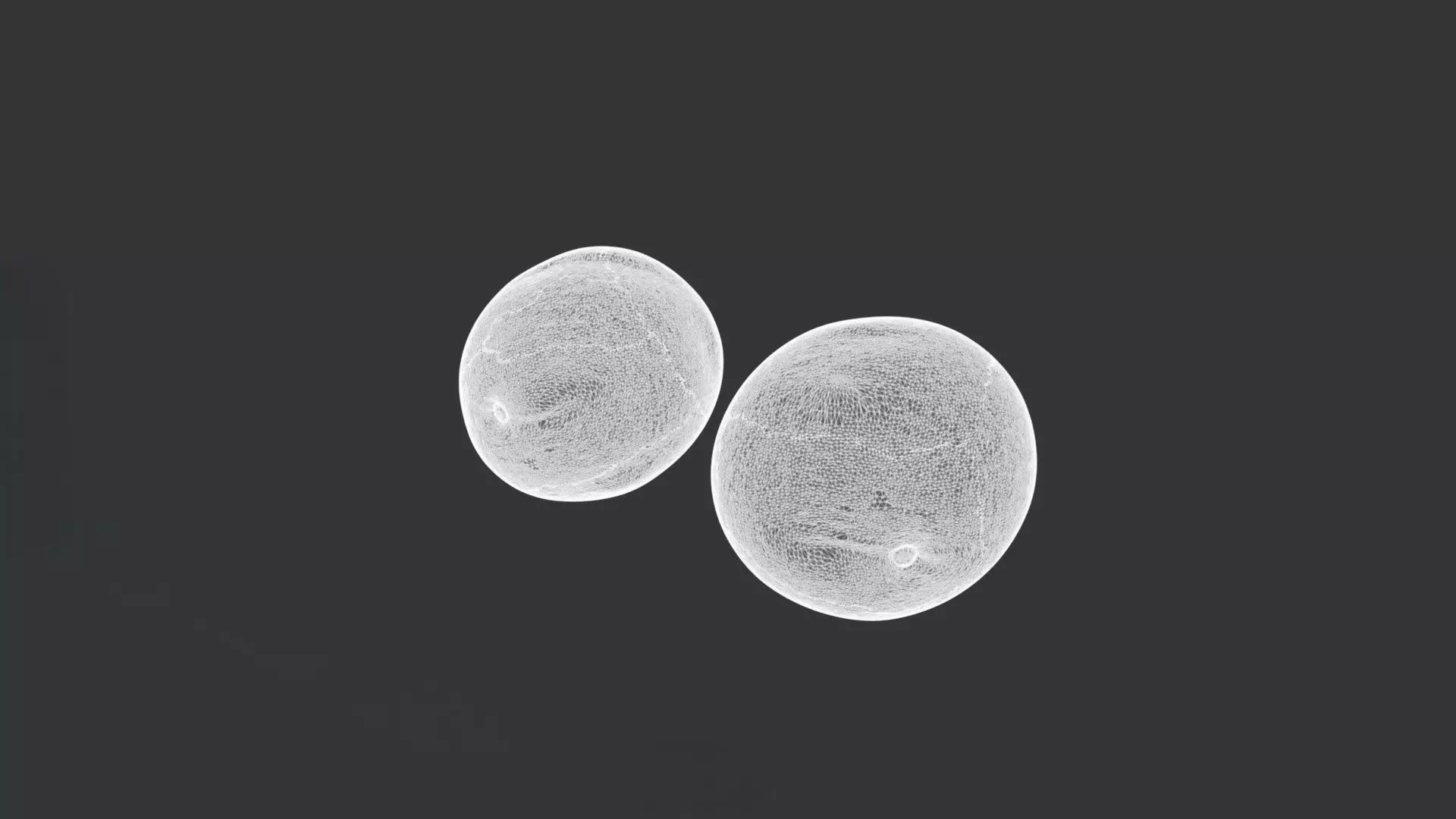 Green Plum 3D model_3