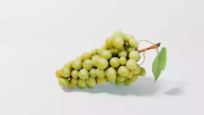 White Grapes 3D model