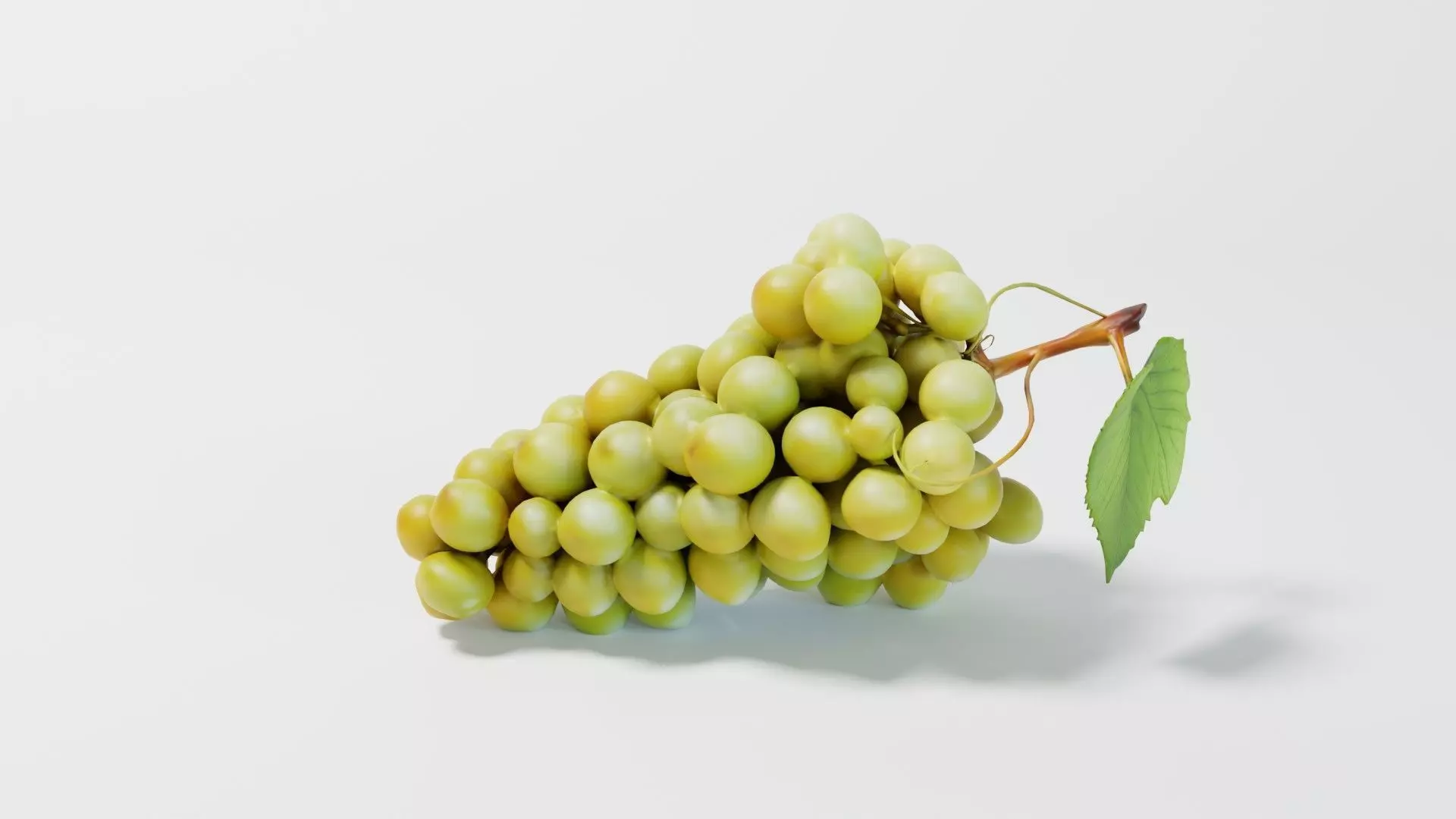 White Grapes 3D model_0