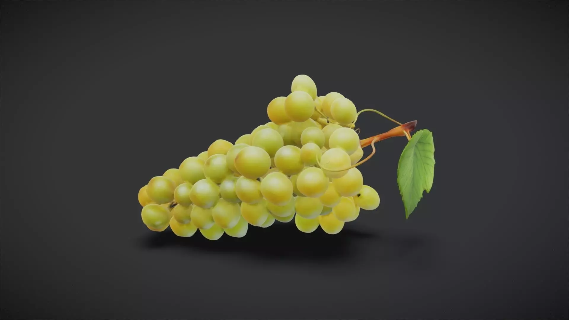 White Grapes 3D model_1