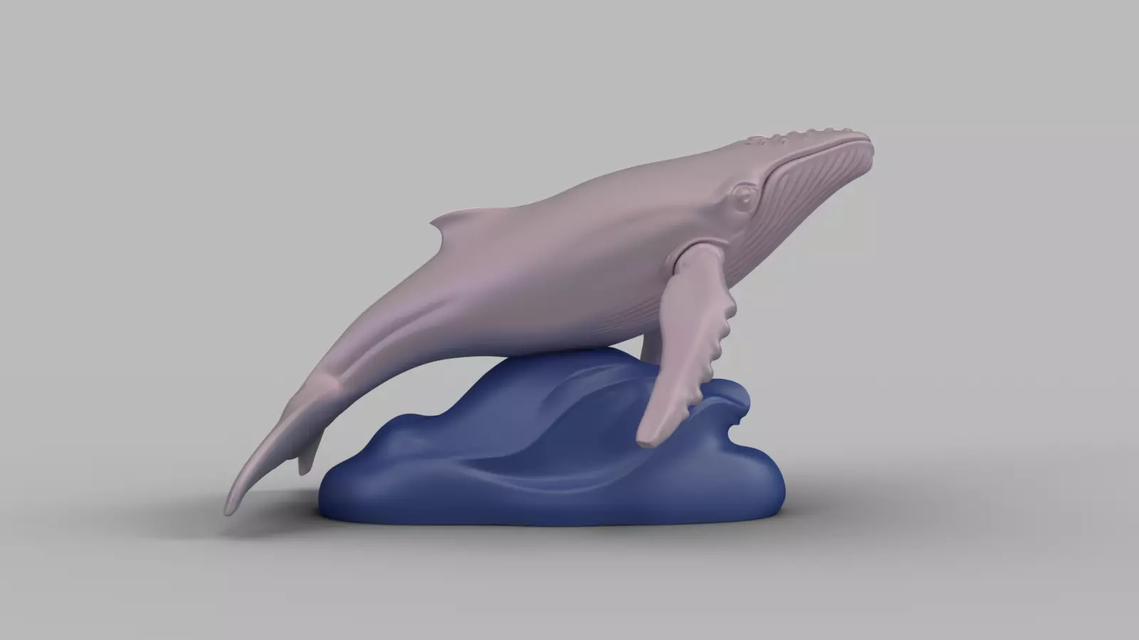 Marine Animal Set Dolphin Whale Shark 3D print model_12