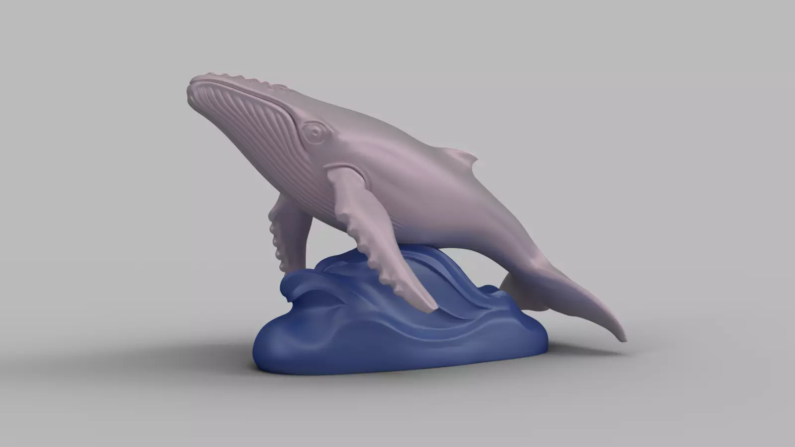 Marine Animal Set Dolphin Whale Shark 3D print model_9
