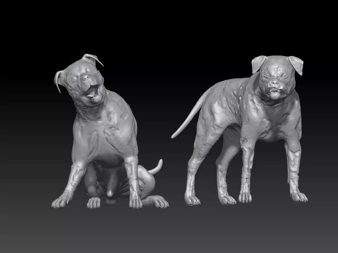 dog skull pack 2 3D print model