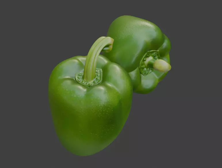 Green Capsicum Pair 3D Model 3D model_3