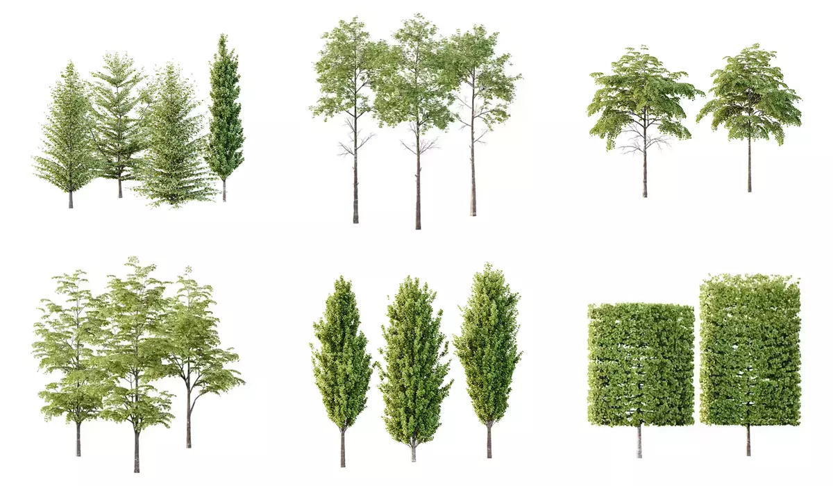 Excellent collection of Tree plants 17 Different Models 008 _0