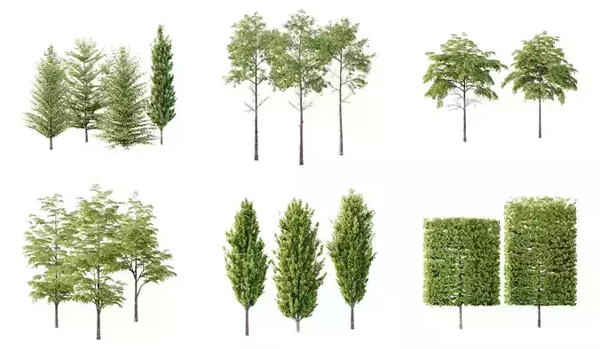 Excellent collection of Tree plants 17 Different Models 008 