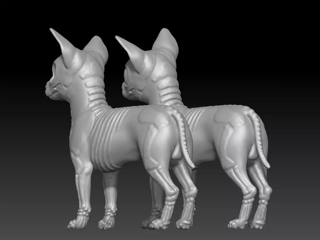 dog chihuahua skull pack 3 3D print model_2