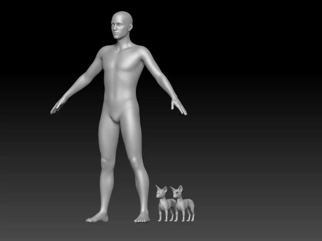 dog chihuahua skull pack 3 3D print model_4