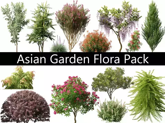 Asian Garden Flora Pack 13
