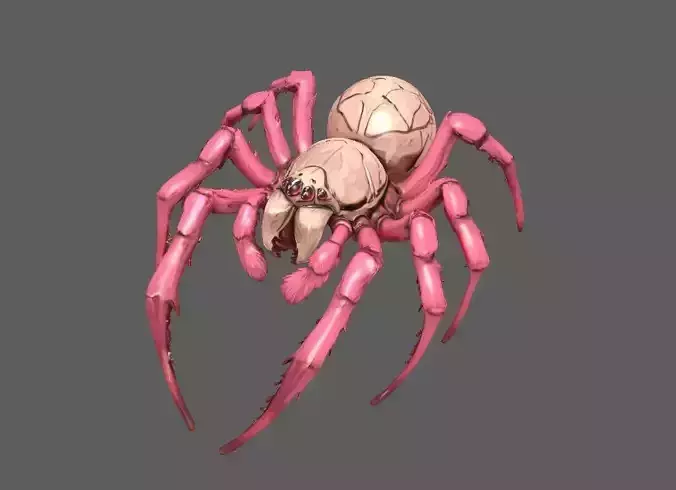 Spider