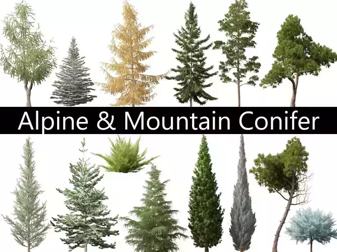 Alpine Mountain Conifers Pack 14