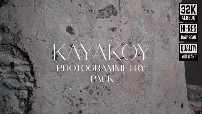 Abandoned Village Surface Scan - Plaster 03