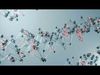 Organic Plexus Animation 3D model_1