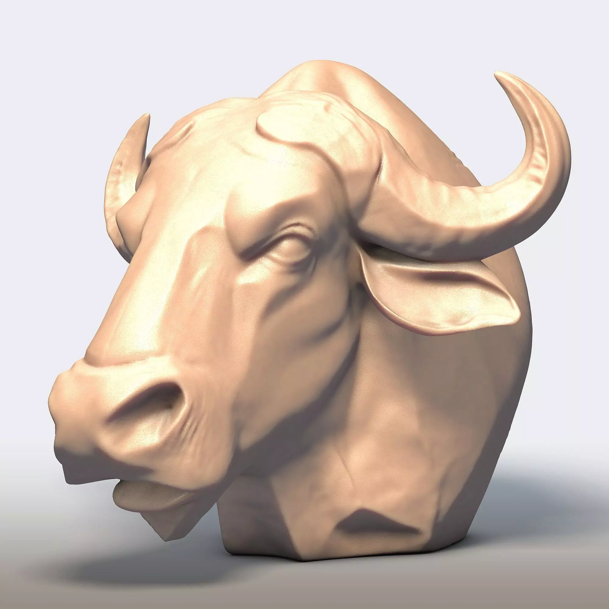 Buffalo Head 3D print model_1