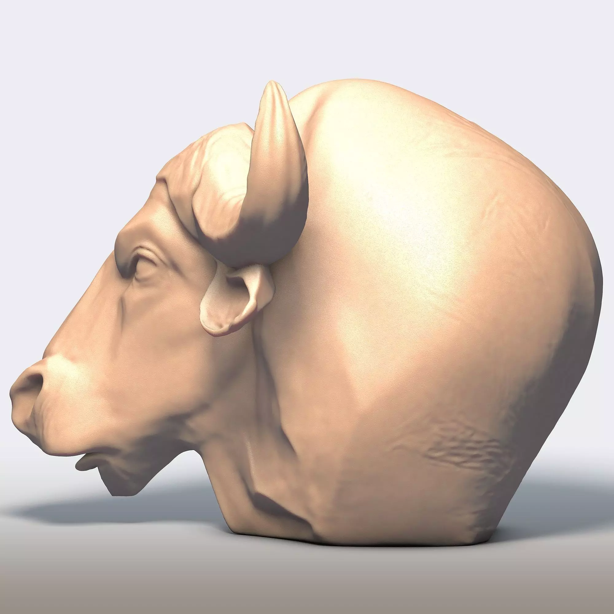 Buffalo Head 3D print model_3