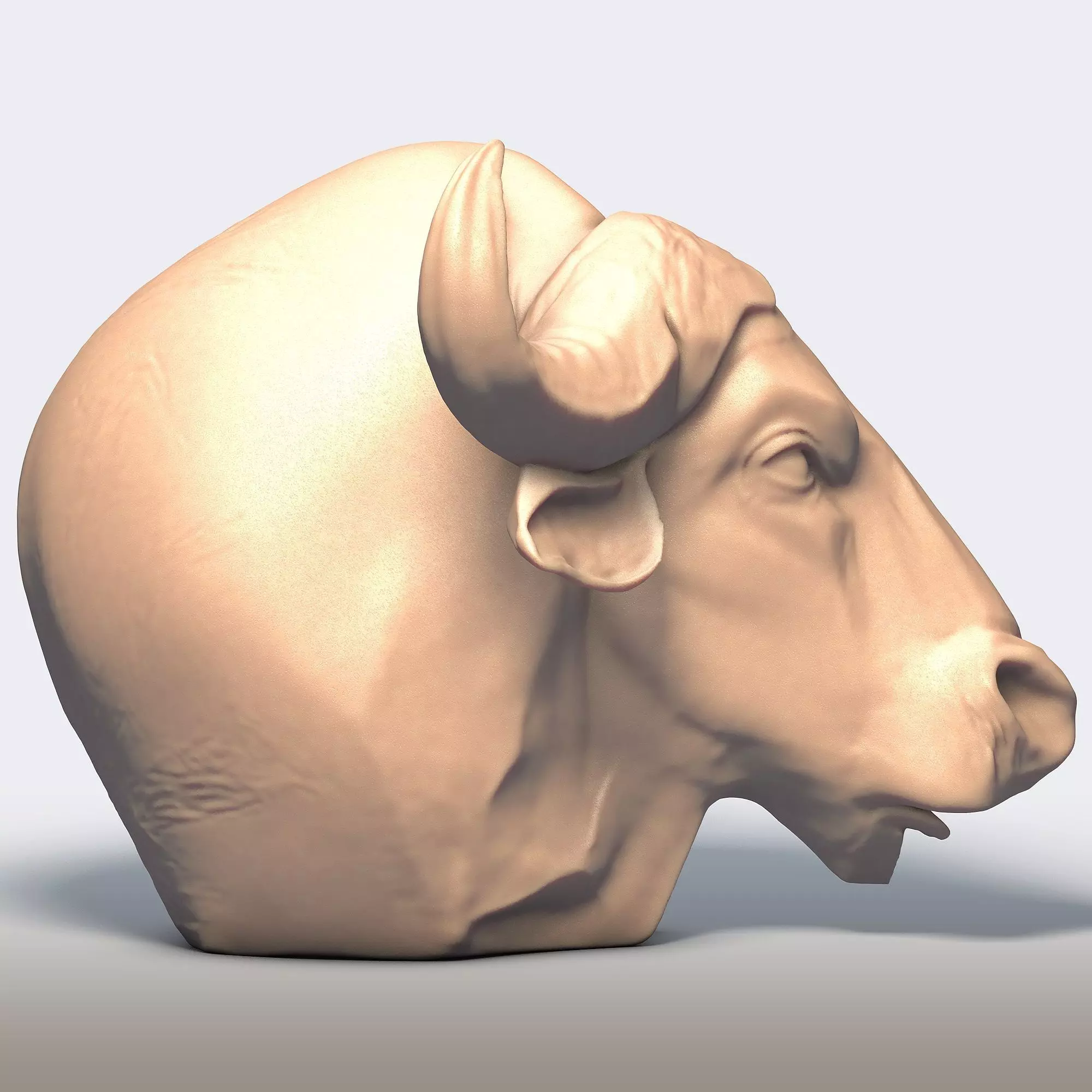 Buffalo Head 3D print model_6
