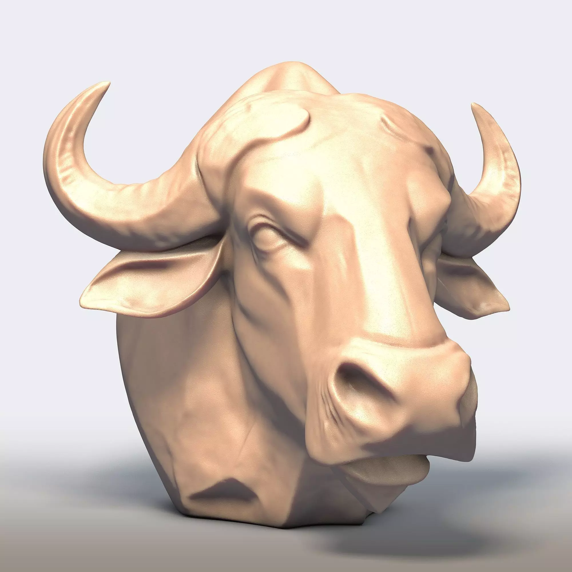 Buffalo Head 3D print model_7