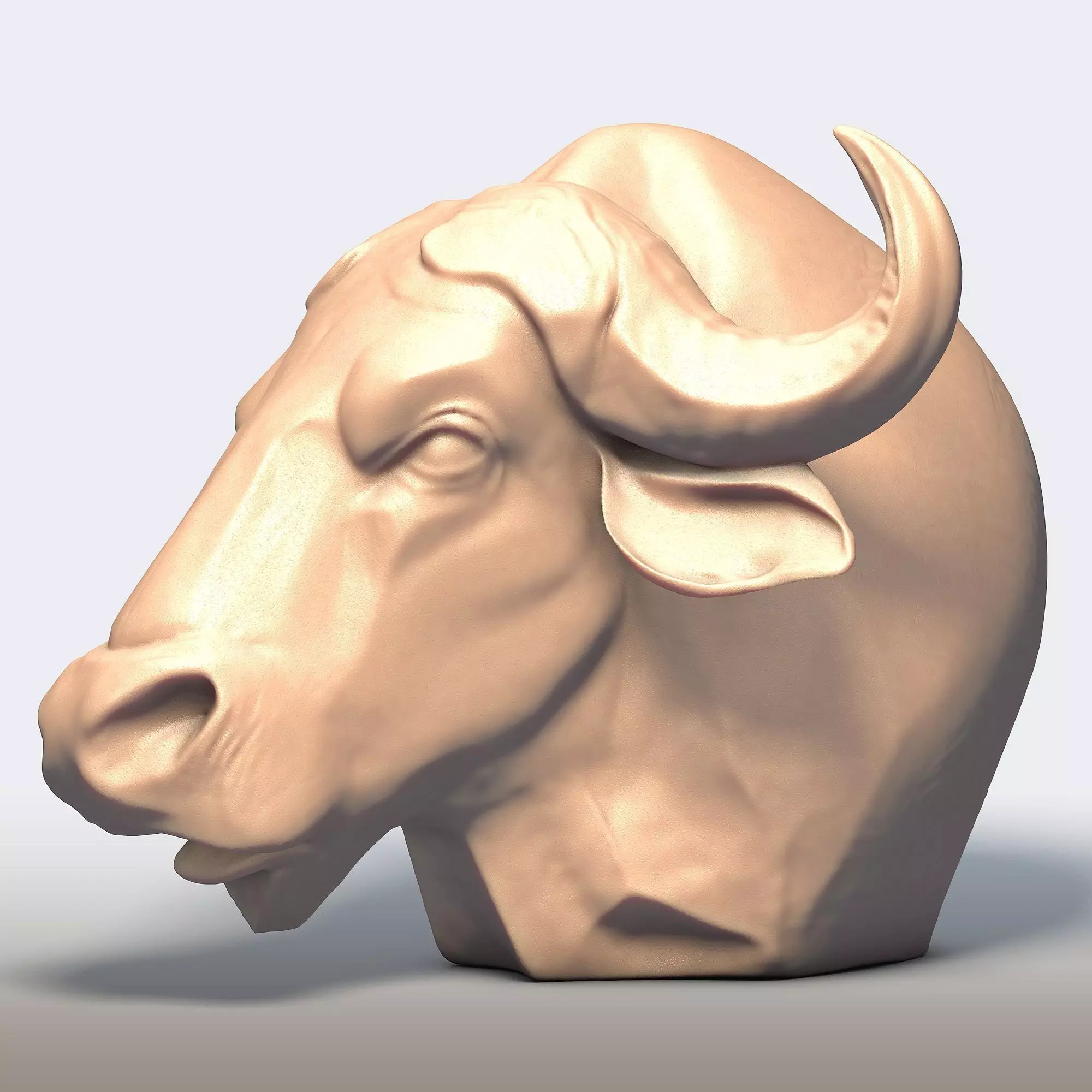 Buffalo Head 3D print model_2