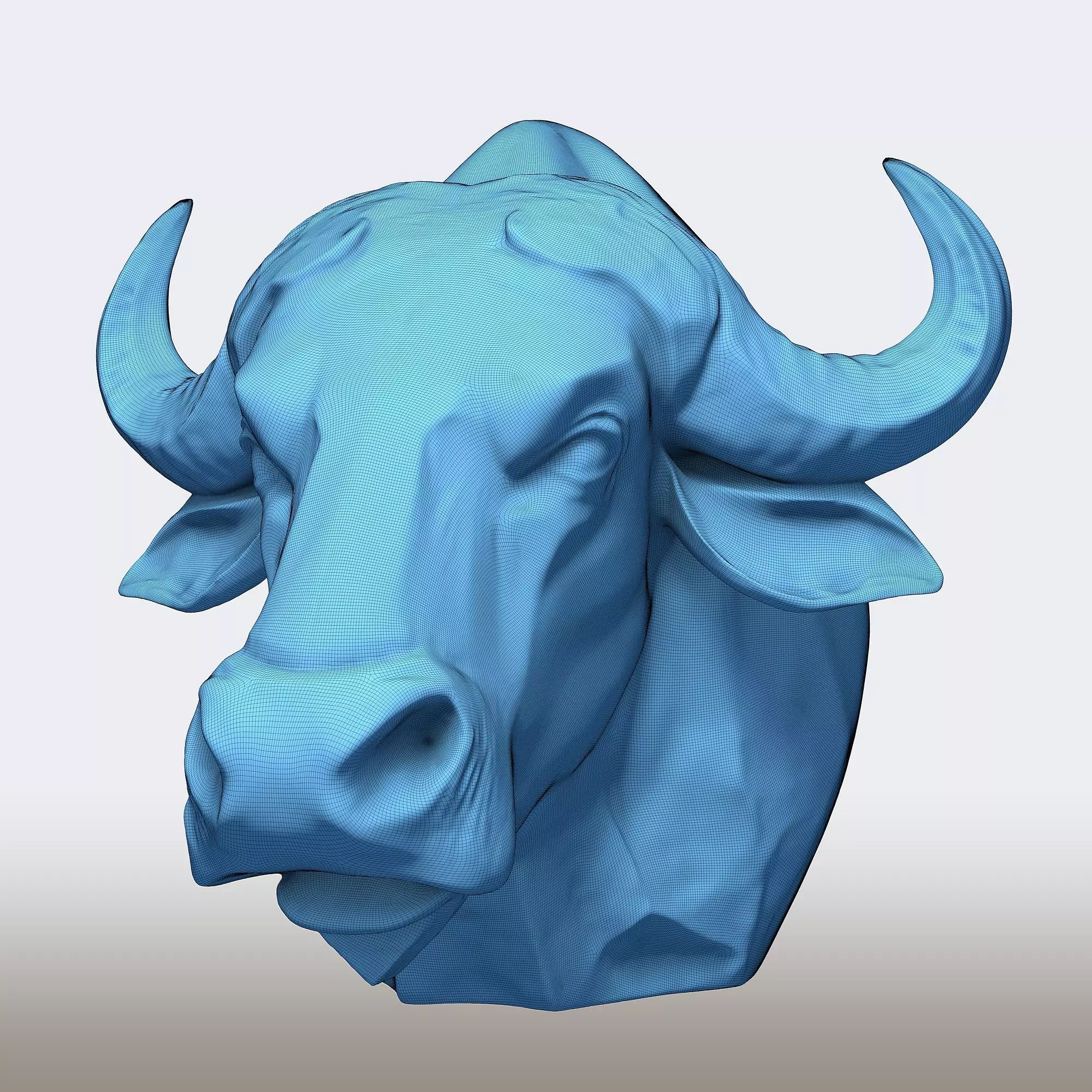Buffalo Head 3D print model_8
