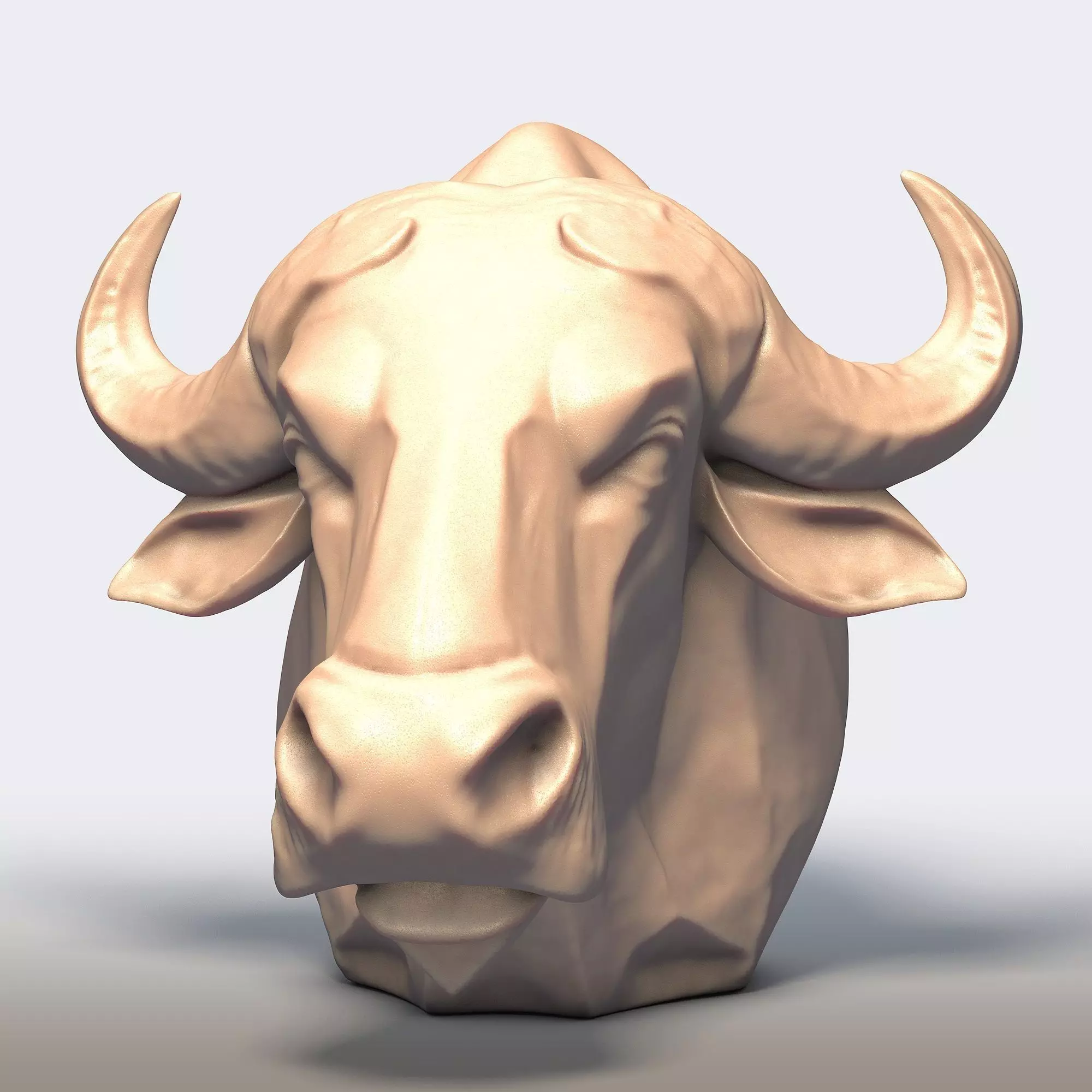 Buffalo Head 3D print model_0