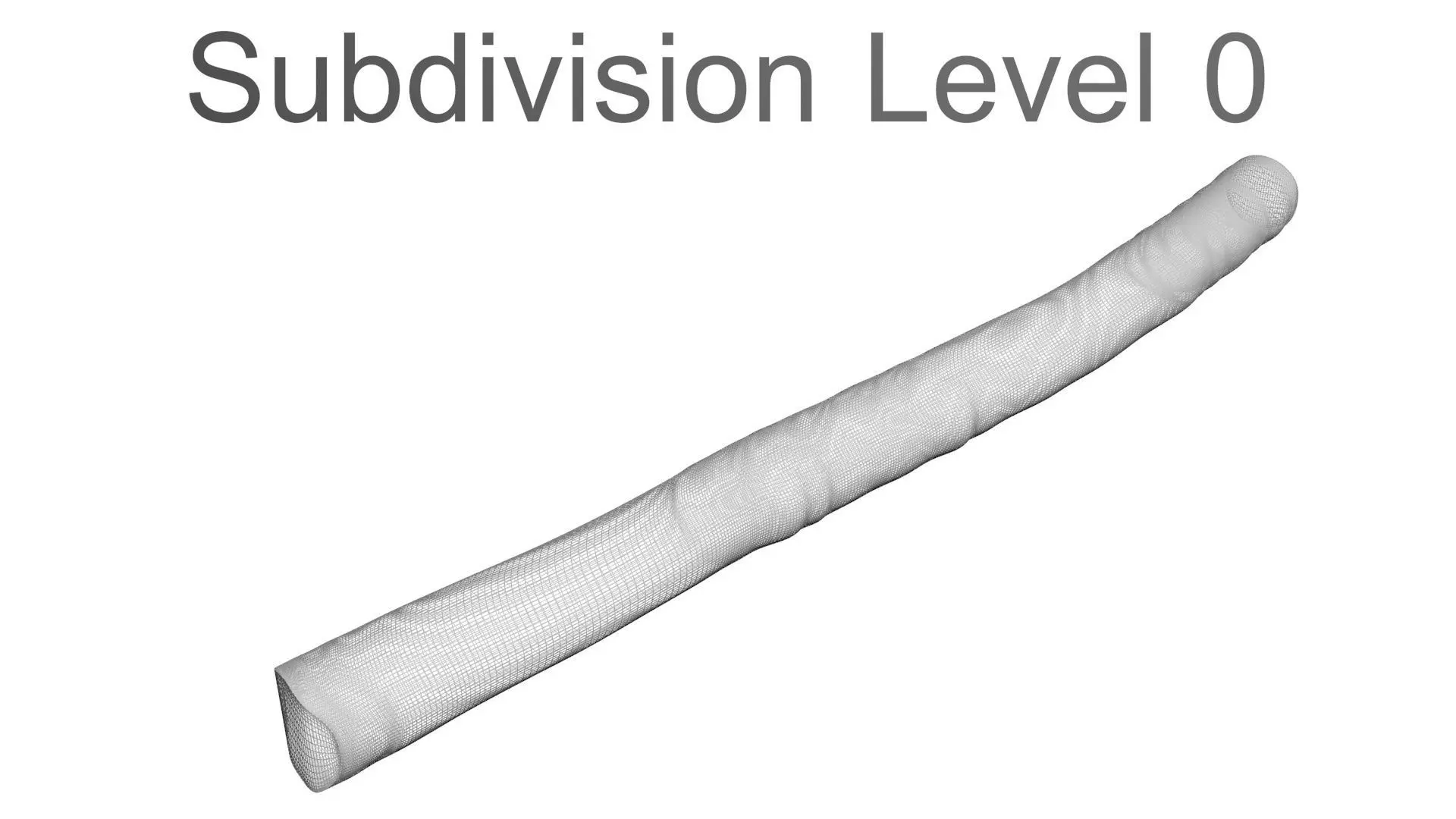 Licorice Root 3D model_23