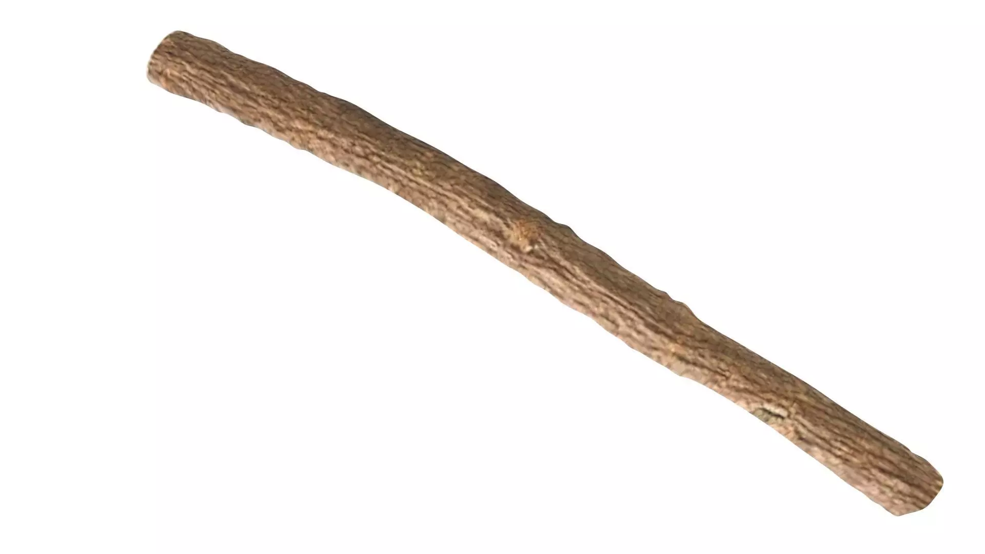 Licorice Root 3D model_11