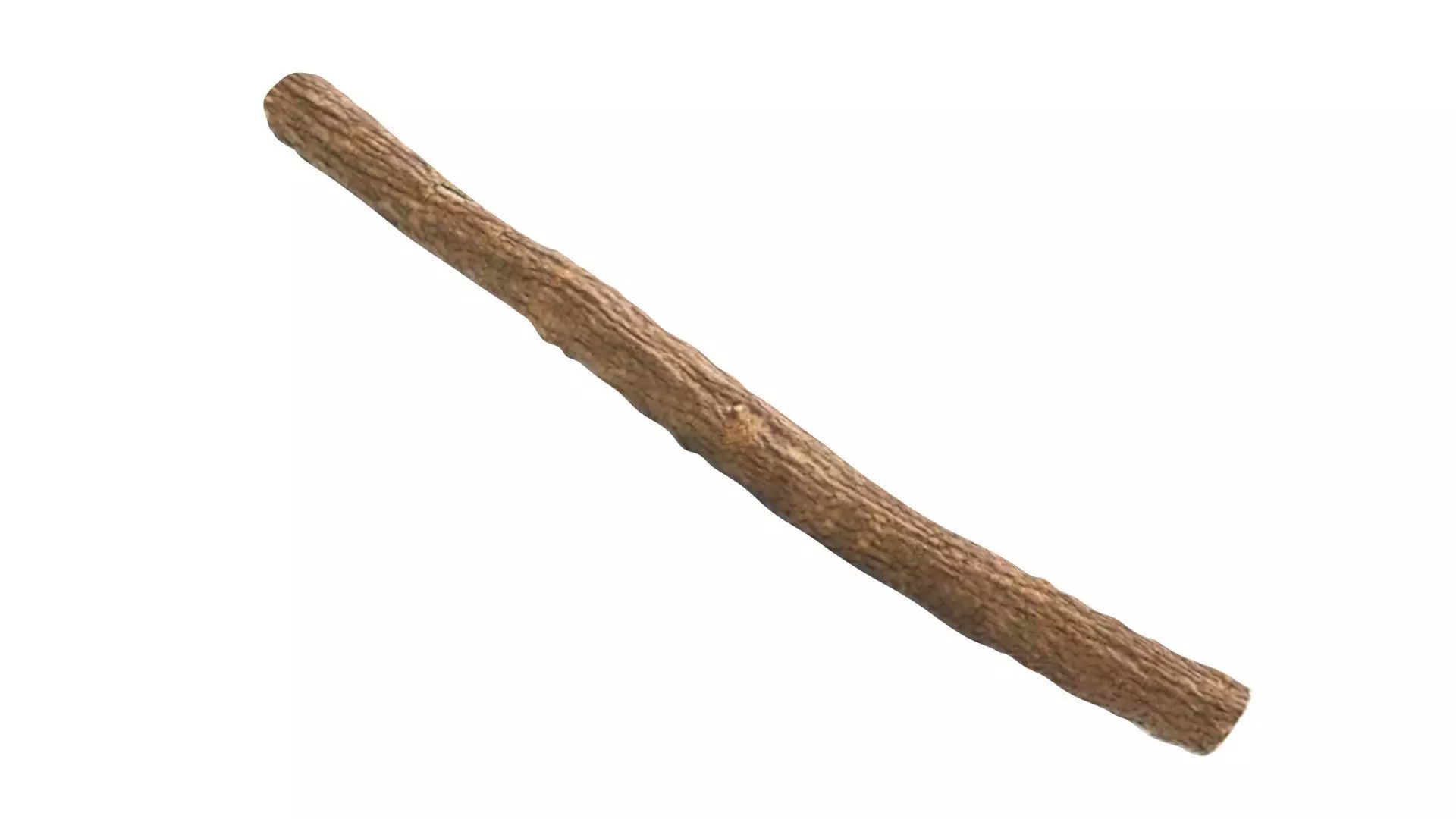 Licorice Root 3D model_9