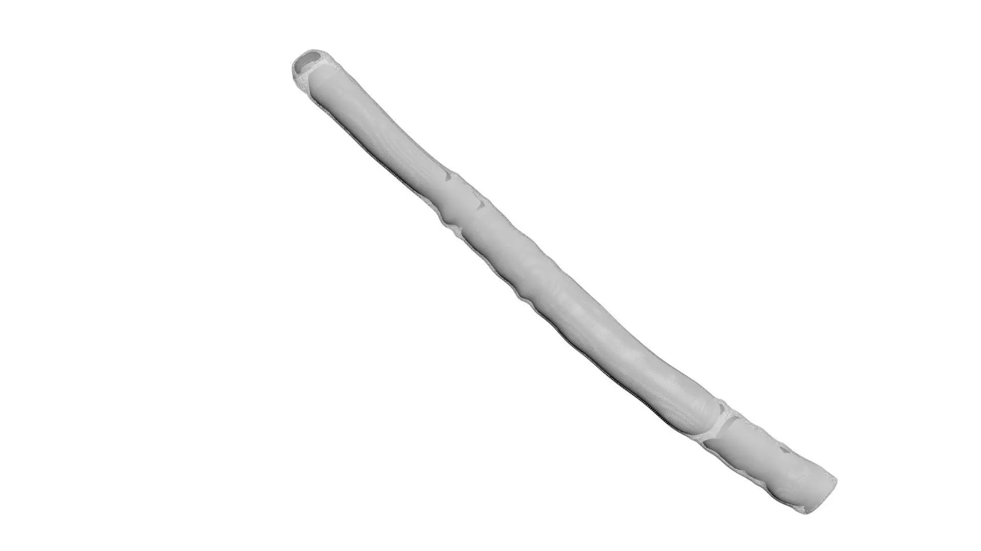 Licorice Root 3D model_16