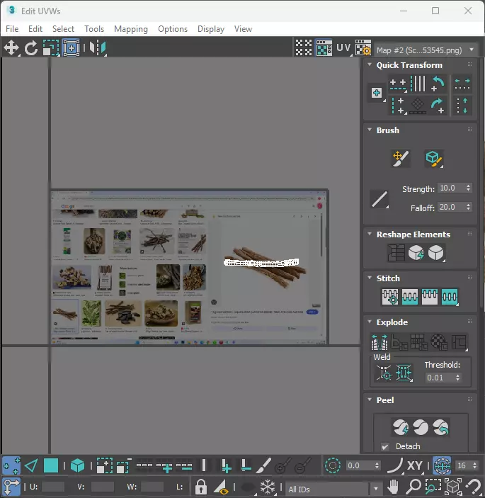 Licorice Root 3D model_24