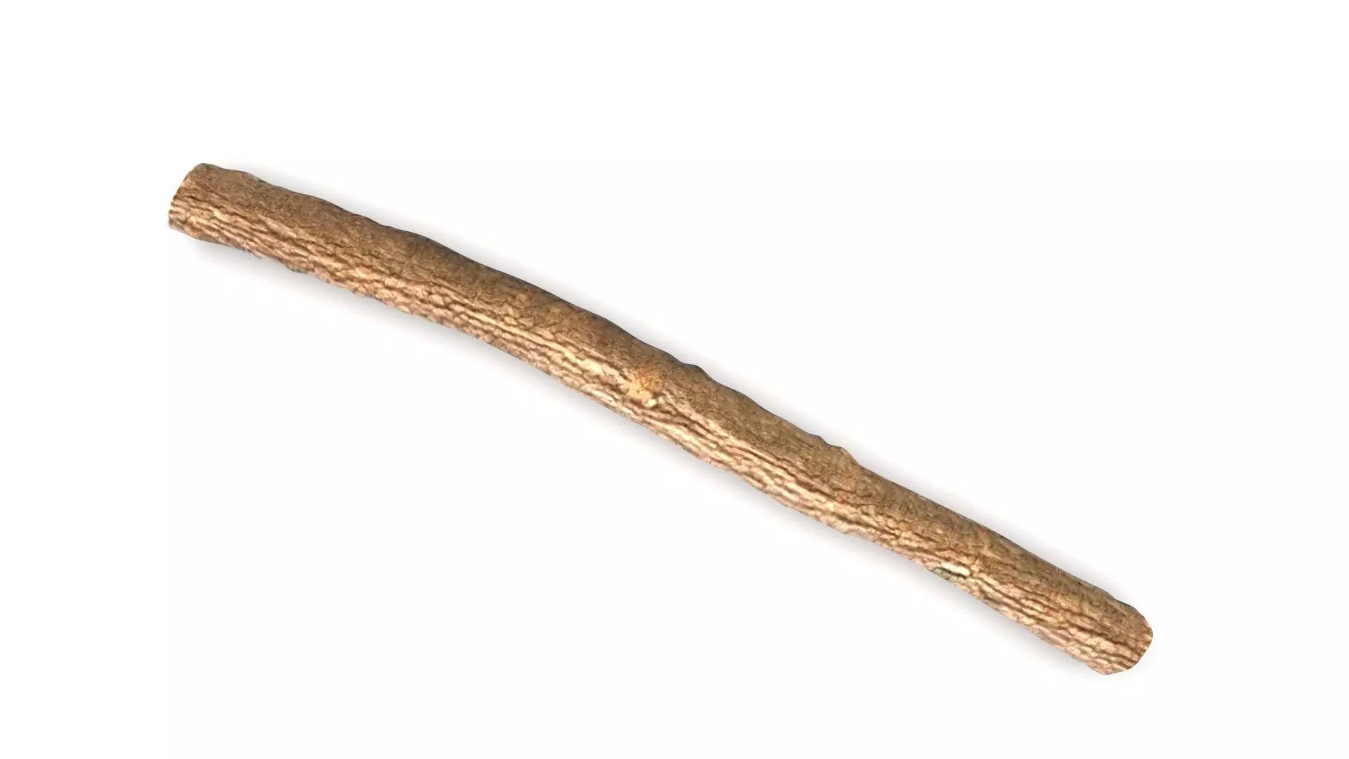 Licorice Root 3D model_3