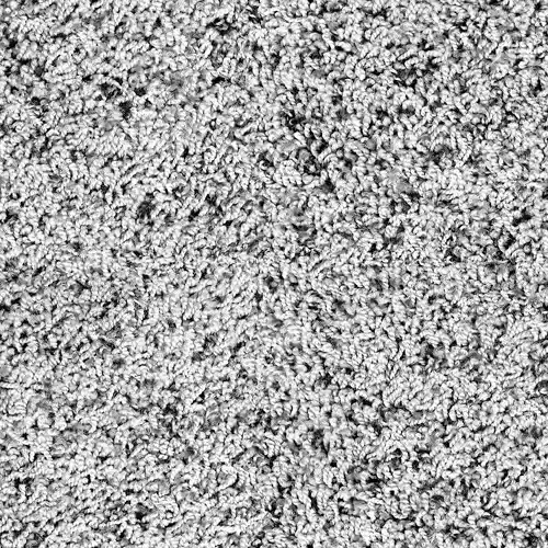 Seamless Black and White Plush Carpet Texture 