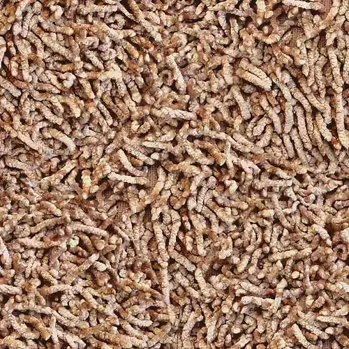 Seamless Shaggy Carpet Texture 