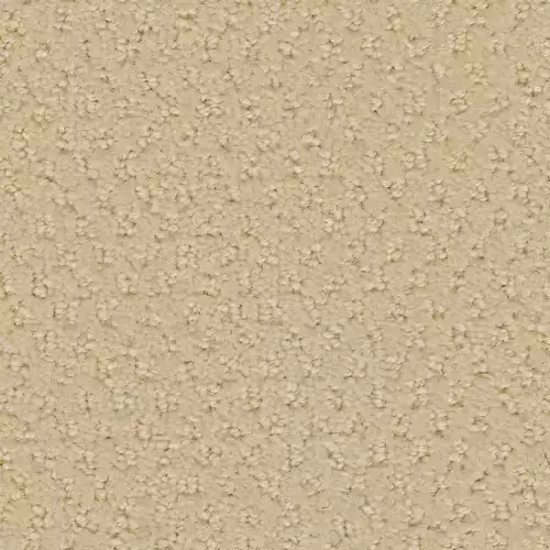Seamless Beige Carpet Texture 