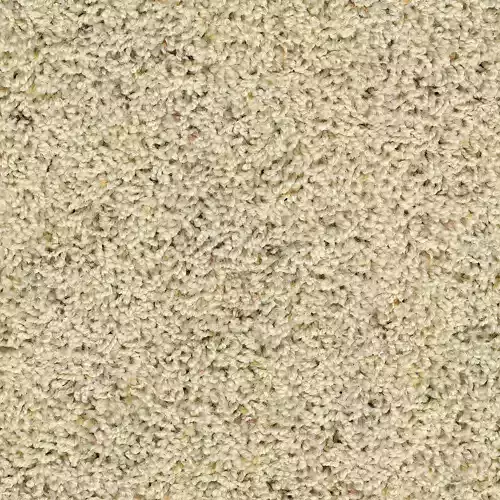 Seamless Cream Carpet Texture 