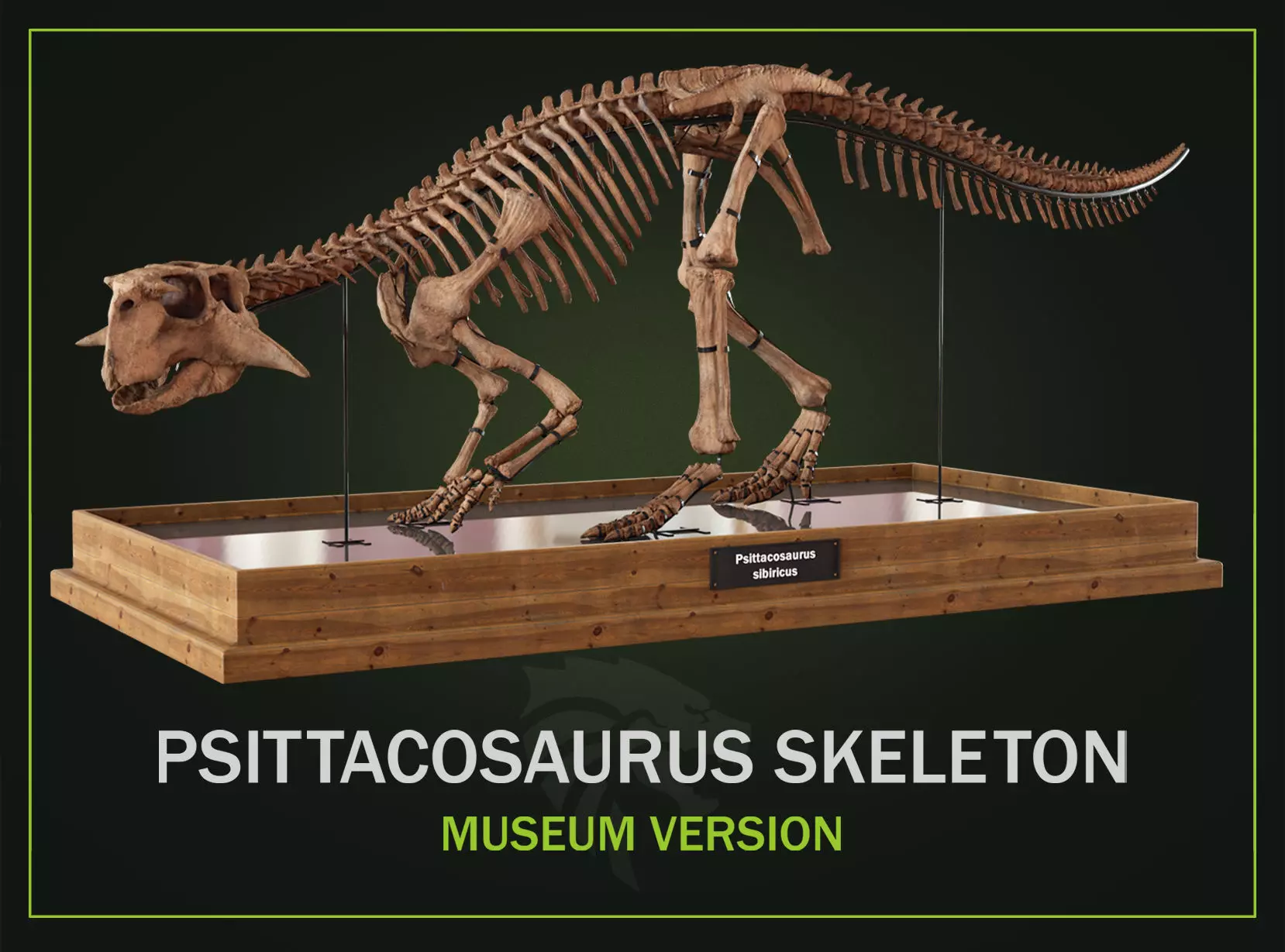 Psittacosaurus Skeleton Dinosaur Skeleton 3D model
