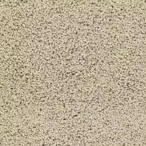Seamless Beige Carpet Texture