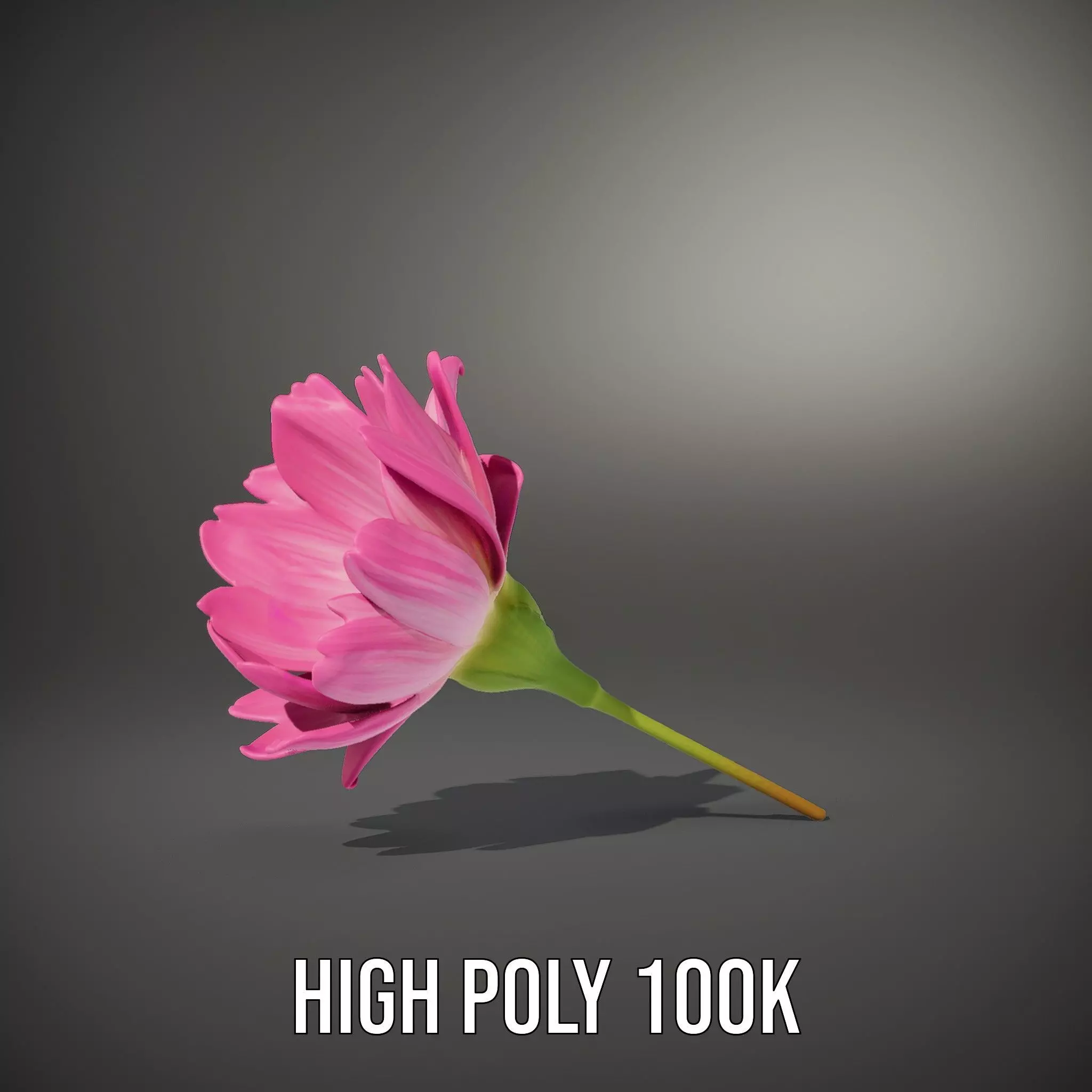 Pink Petal Blossom model pack Low-poly 3D model_9