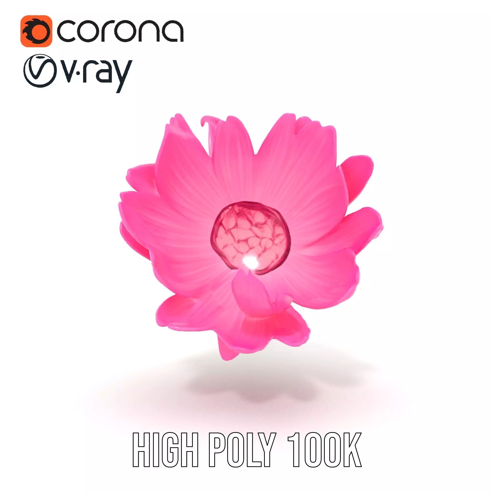 Pink Petal Blossom model pack Low-poly 3D model_29