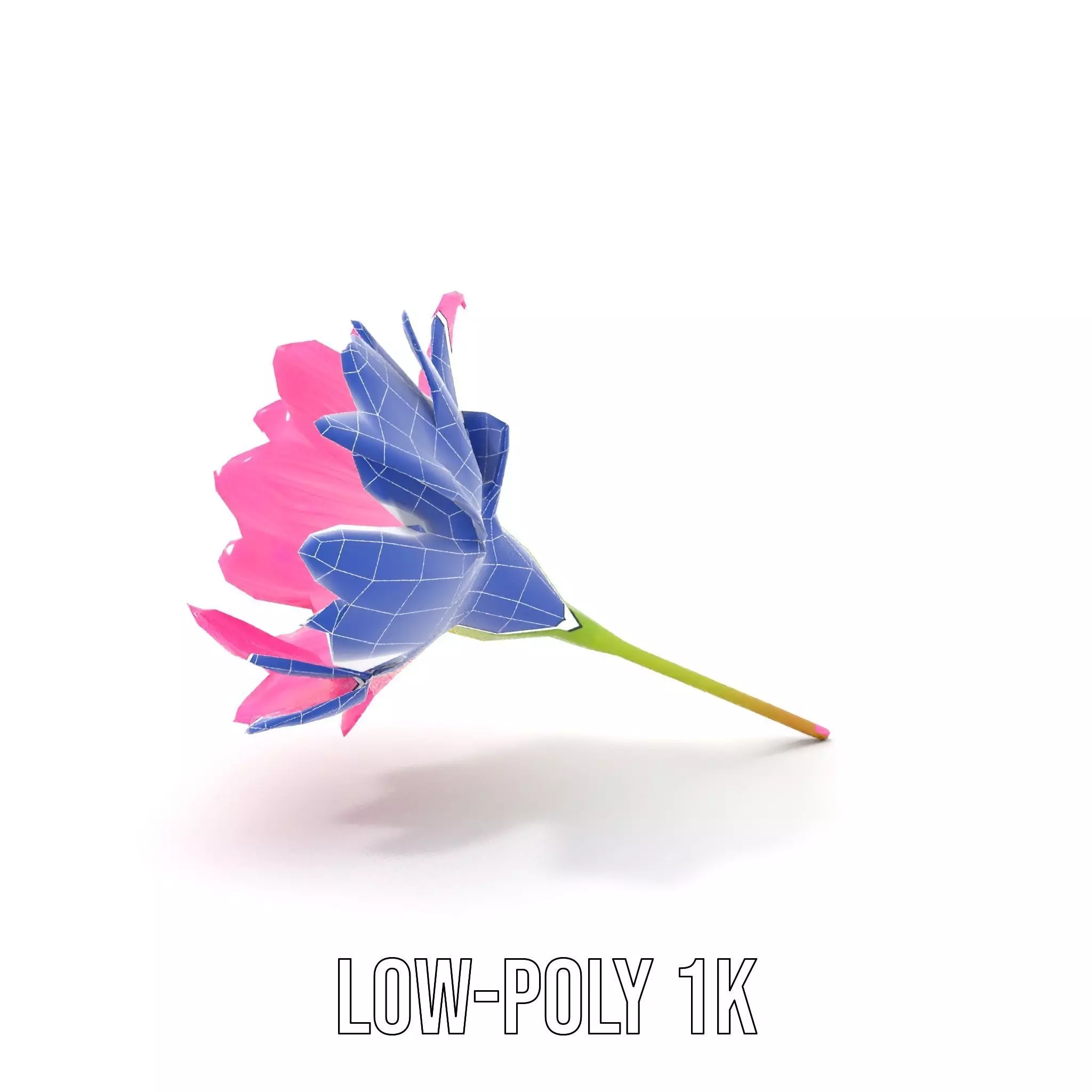 Pink Petal Blossom model pack Low-poly 3D model_8